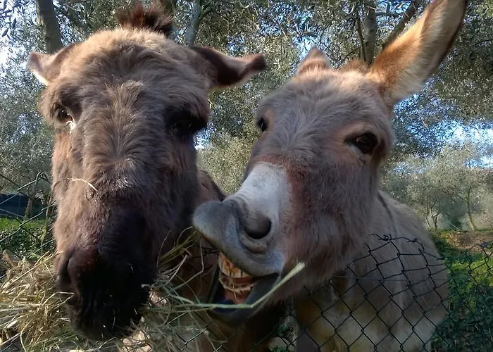 Casa Rossana Сasa de vacaciones