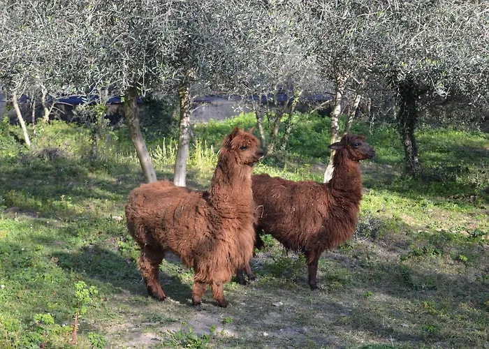 Сasa de vacaciones Casa Rossana *