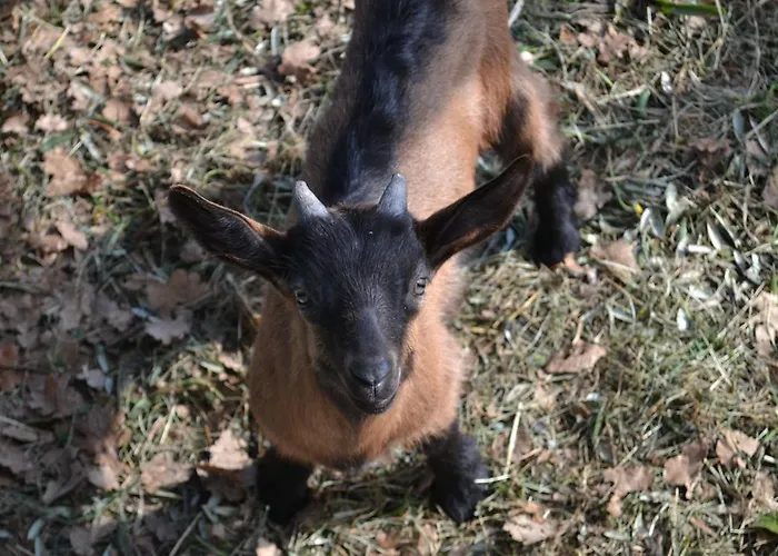 Casa Rossana Сasa de vacaciones *